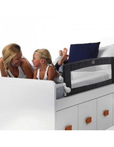 Barandilla Abatible y Plegable