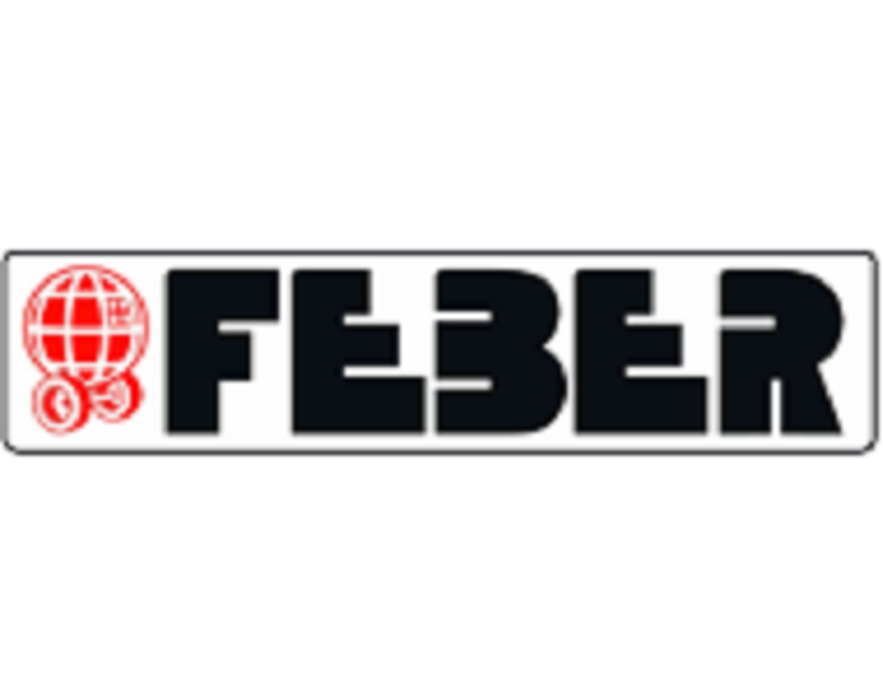 Feber